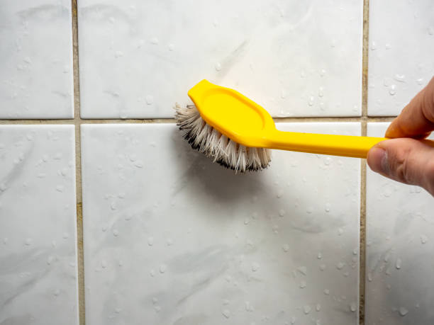 Best Attic Mold Removal  in Mendon, UT