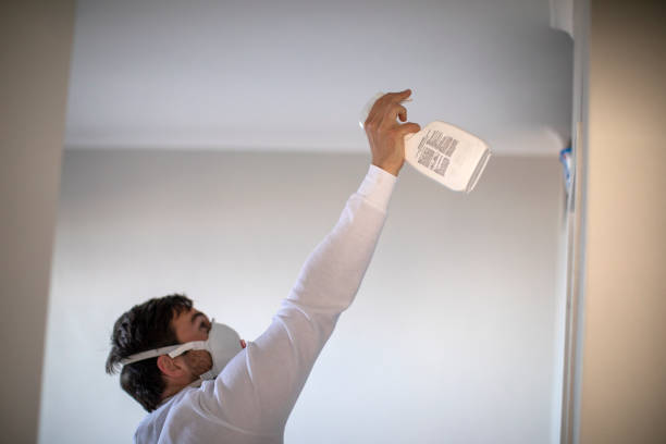 Best Crawl Space Mold Removal  in Mendon, UT